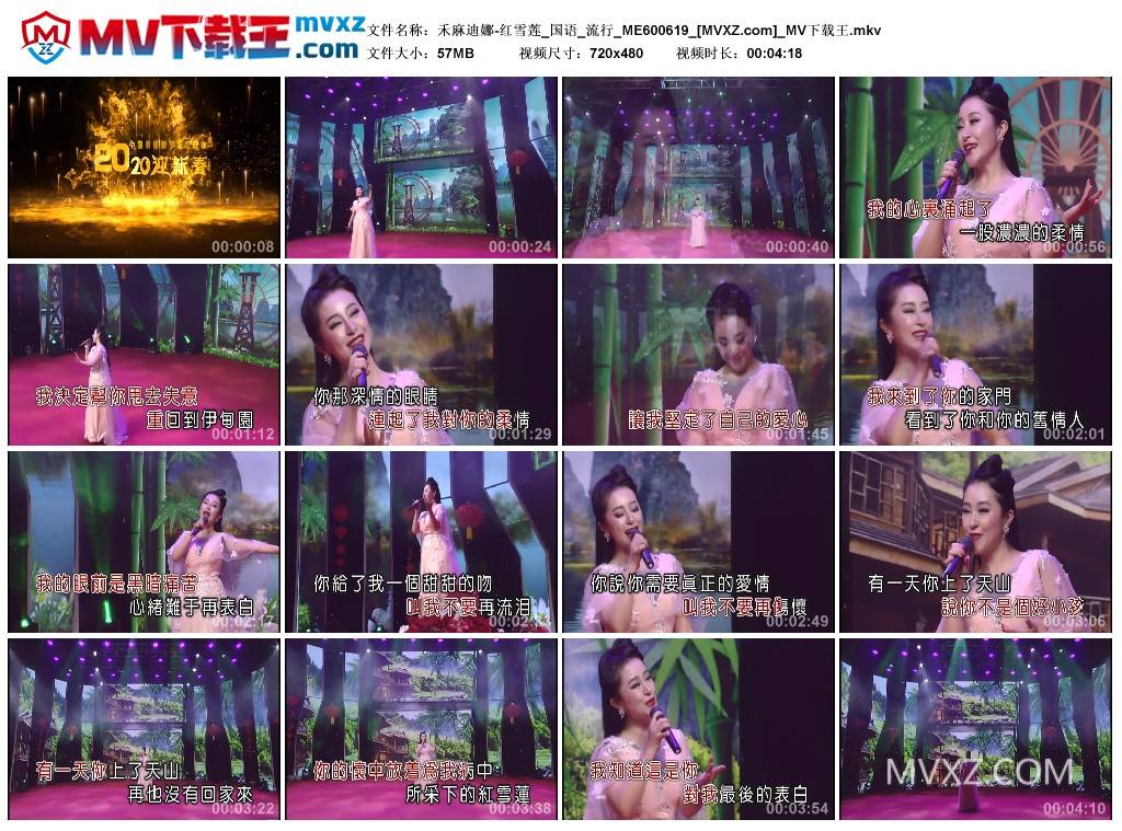 禾麻迪娜-红雪莲_国语_流行_ME600619